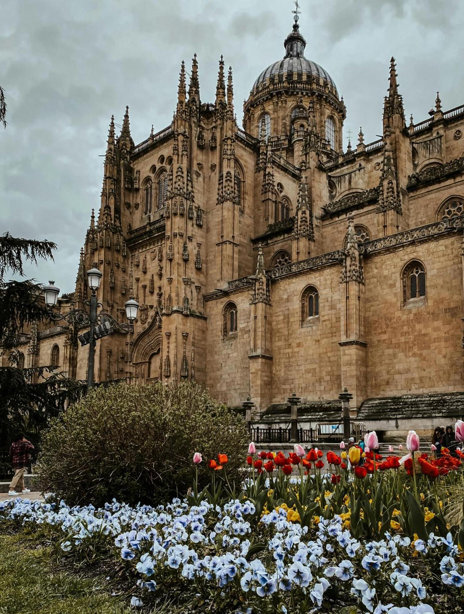 Centro, Hospital Y Campus Universitario A 5 Minutos - Camas De Primera - Lavadora - Smarttv - Wifi 1 Gb - Teletrabajo Salamanka Exteriér fotografie